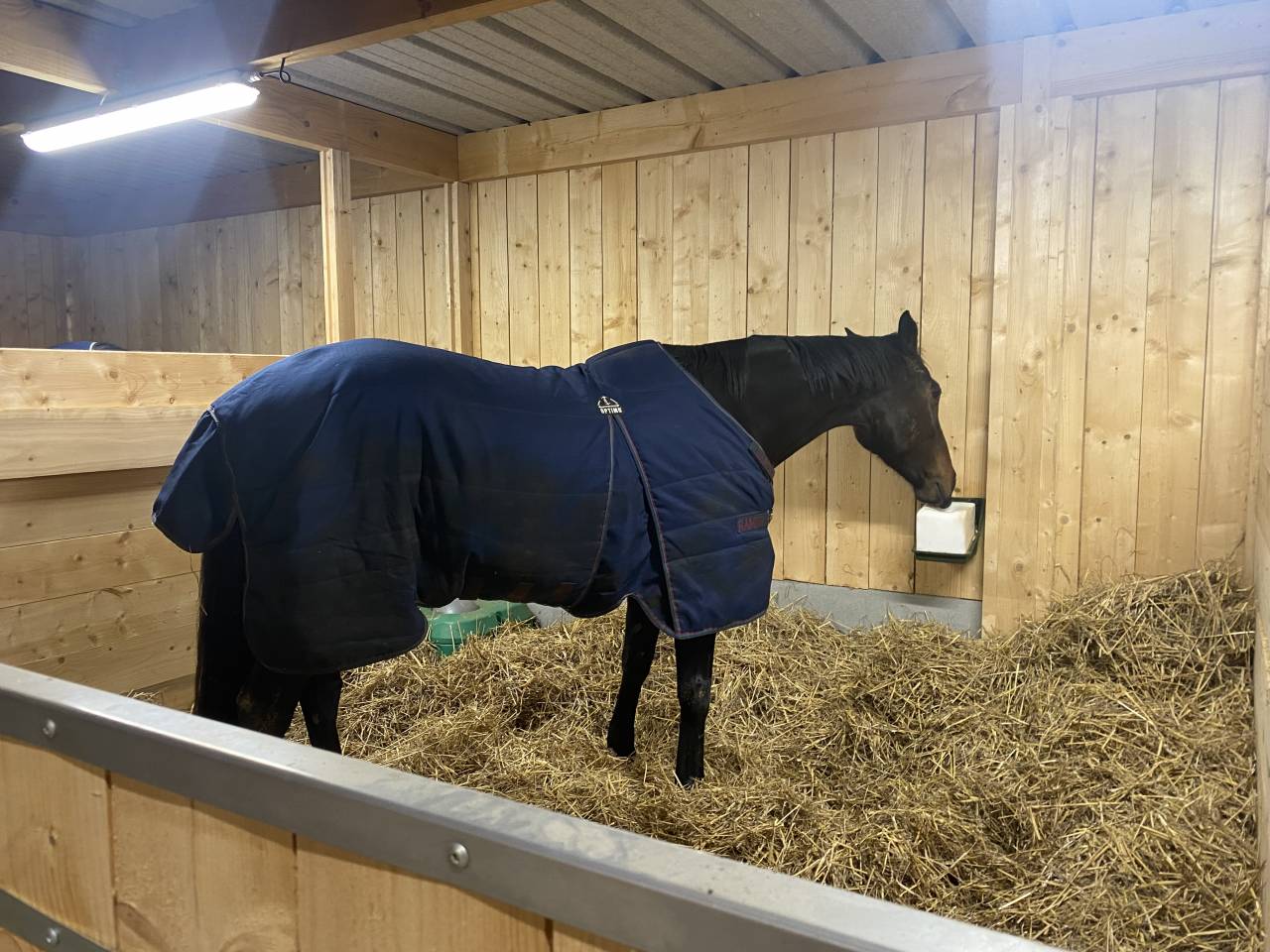 Pension Pr&eacute; & Paddock Paradise