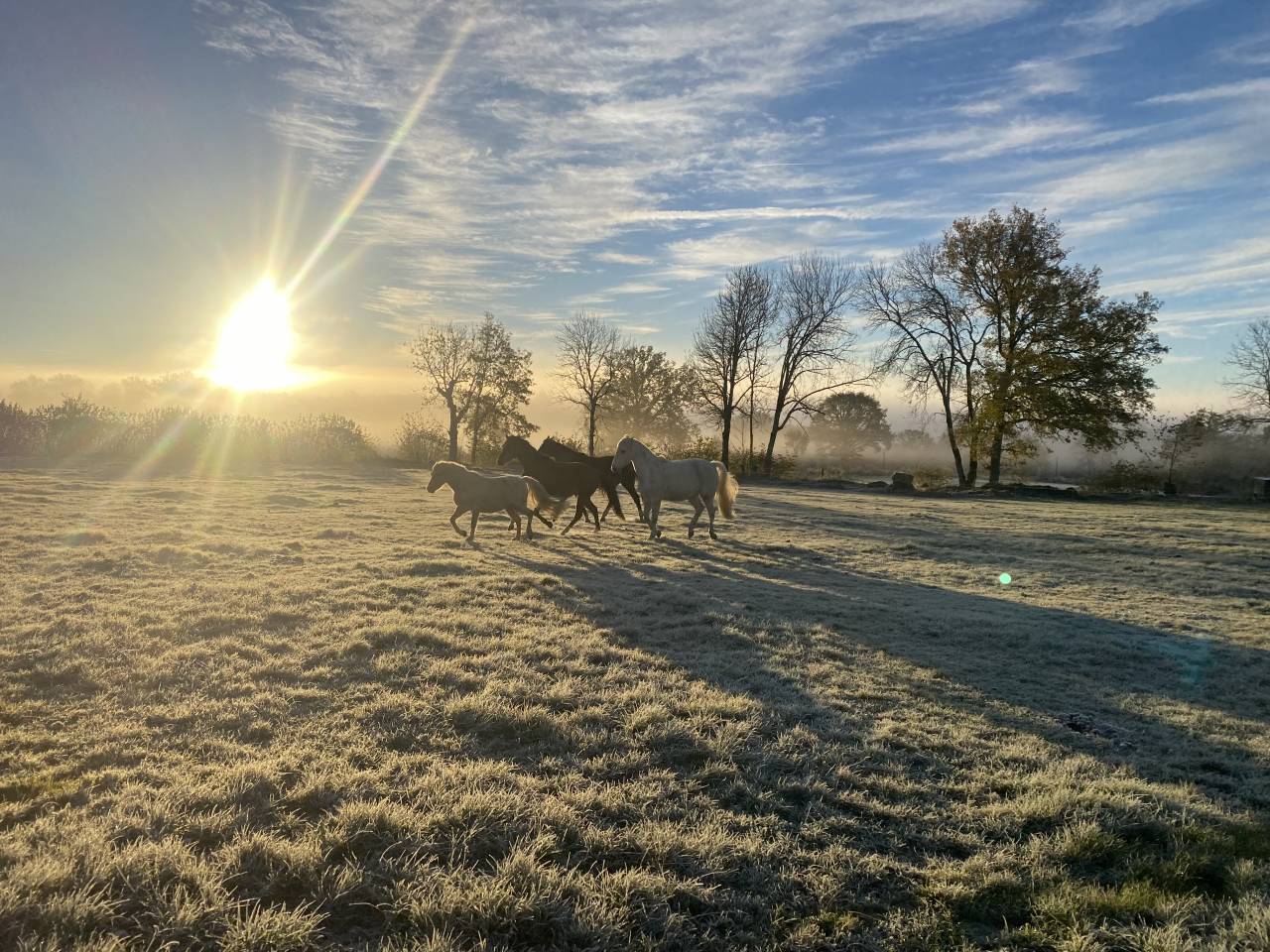 Pension Pr&eacute; & Paddock Paradise