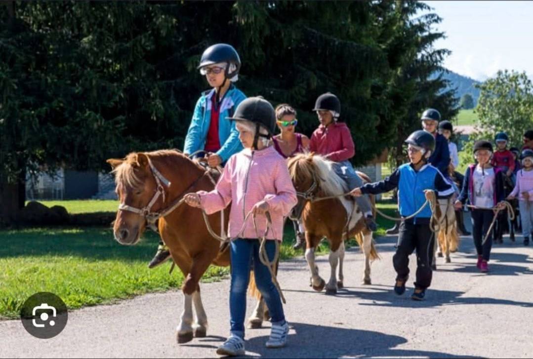 URGENT Accompagnateurs Équestre Séjours 