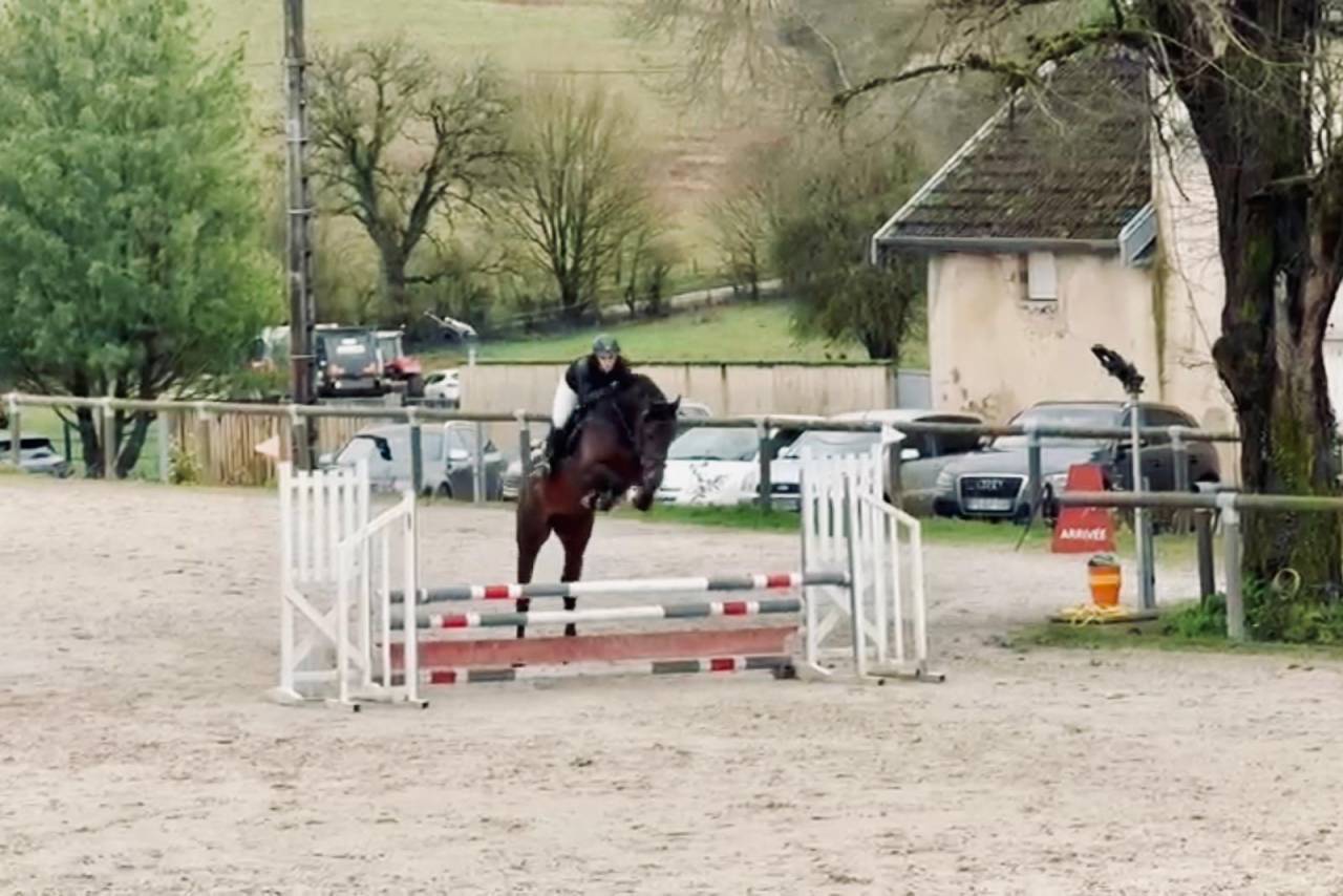 M&acirc;le par To&egrave;mme de Regor Z (Chacco Blue) x Canturo 