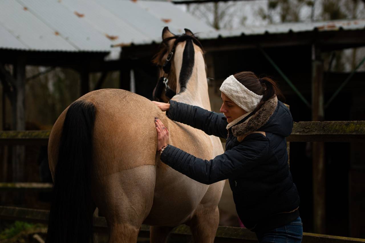 Masseuse &eacute;quin