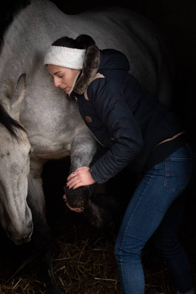 Masseuse &eacute;quin