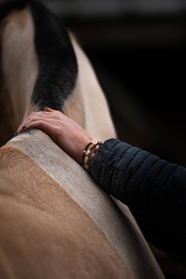 Masseuse &eacute;quin