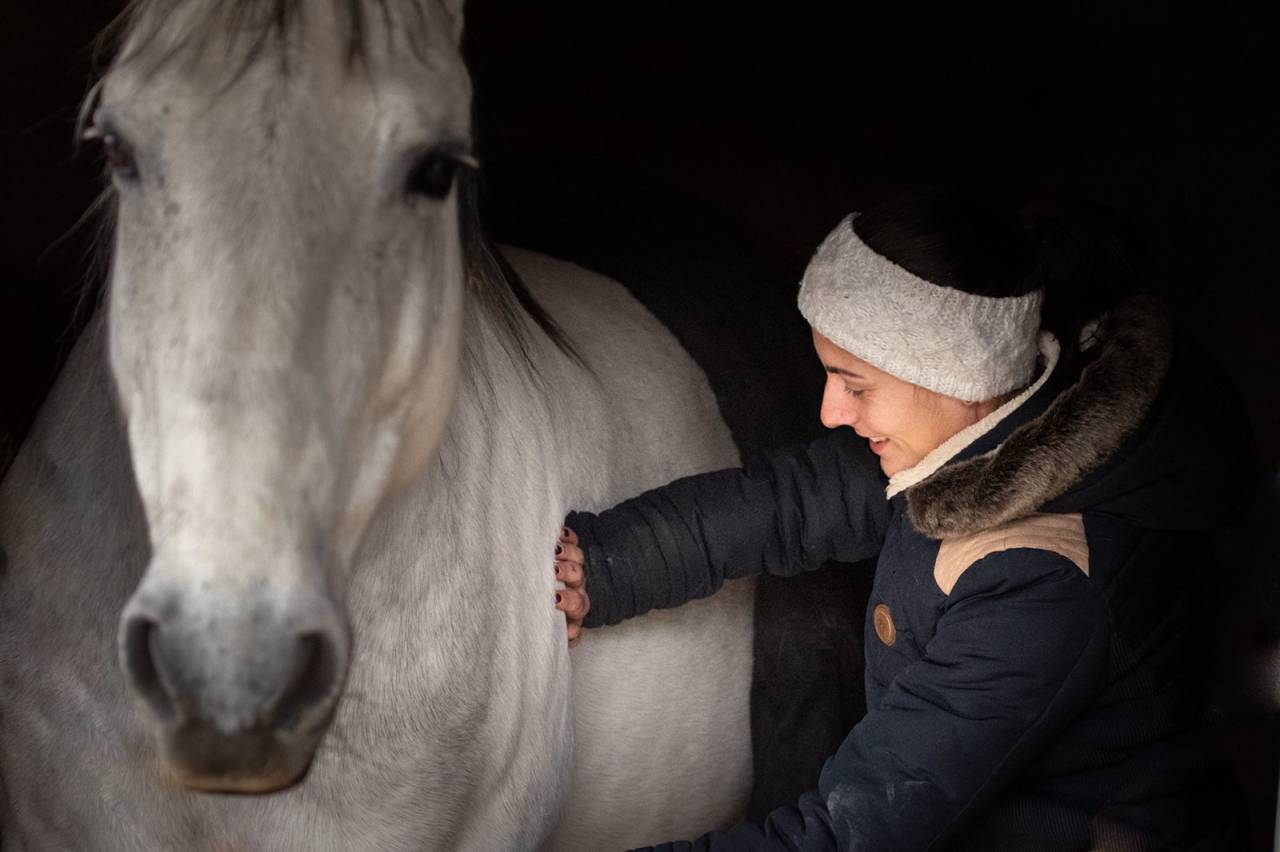 Masseuse &eacute;quin