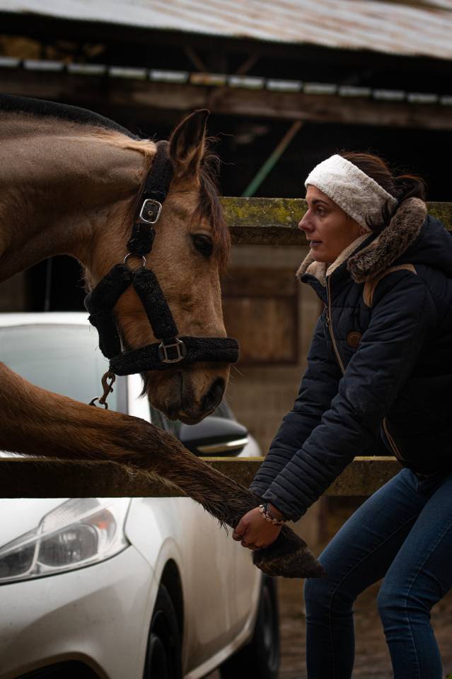 Masseuse &eacute;quin