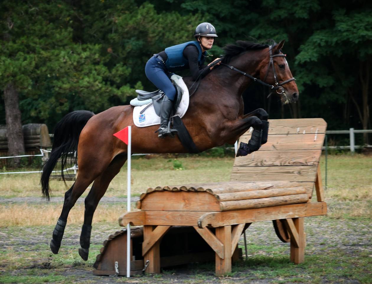 Monitrice d'équitation indépendante
