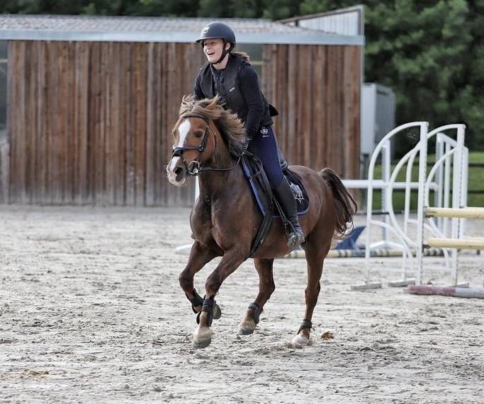 Ponette welsh pony 17 ans 