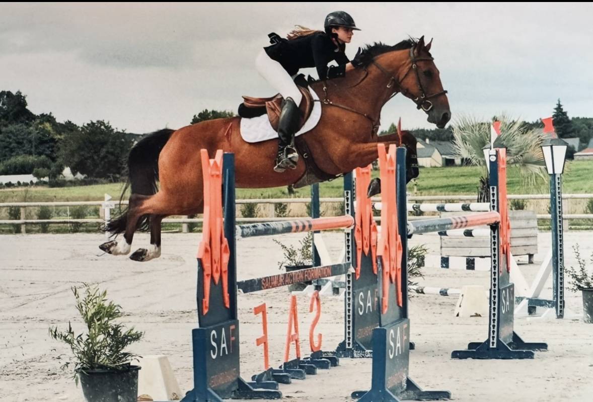 Cheval de sport 7 ans – Origines Par Amant du Château 