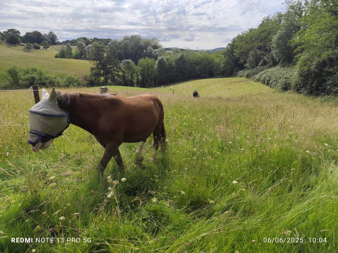 Les Écuries d'Iguzki 