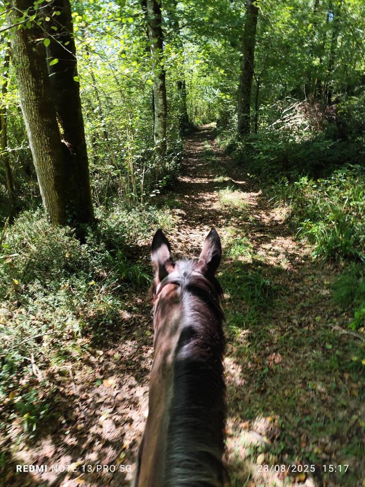 Les Écuries d'Iguzki 