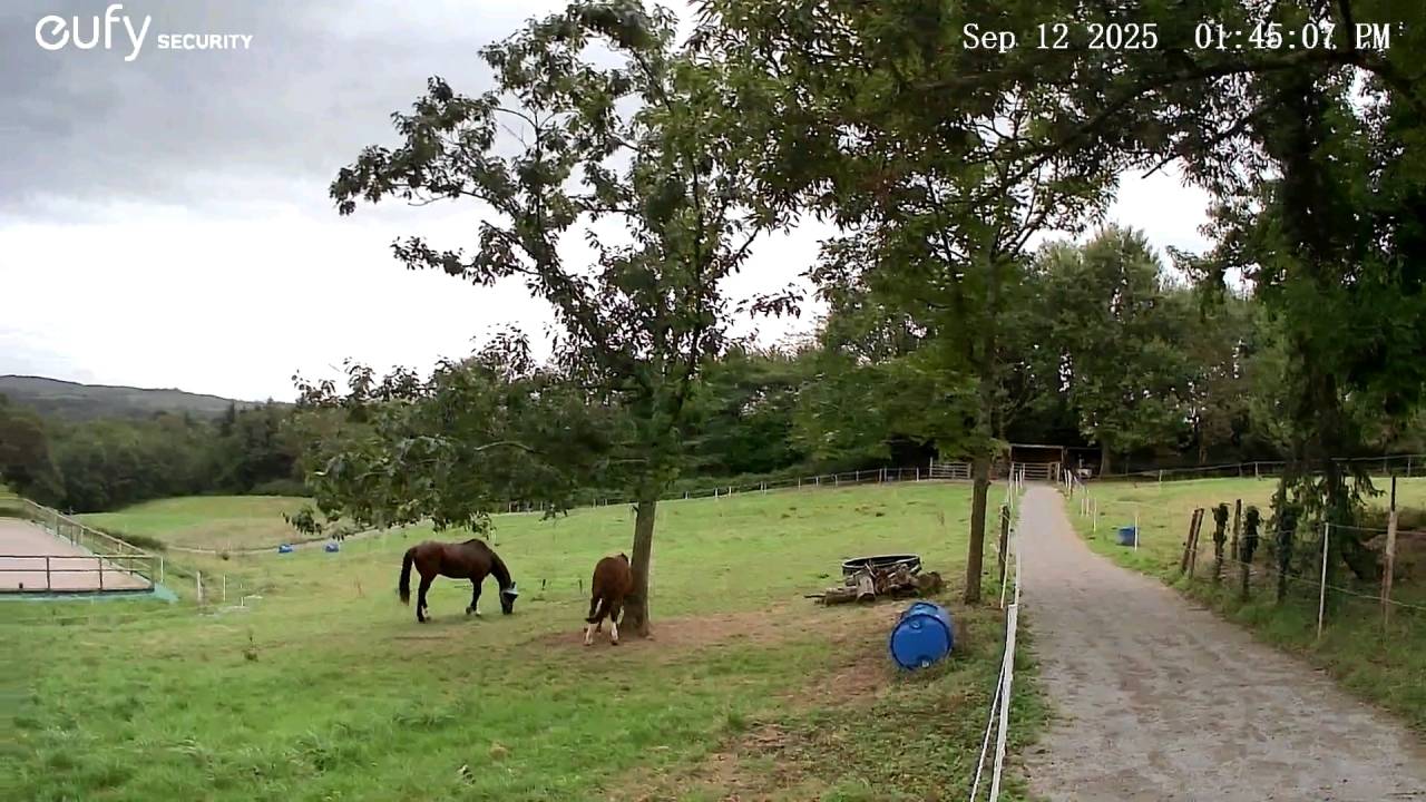 Les Écuries d'Iguzki 