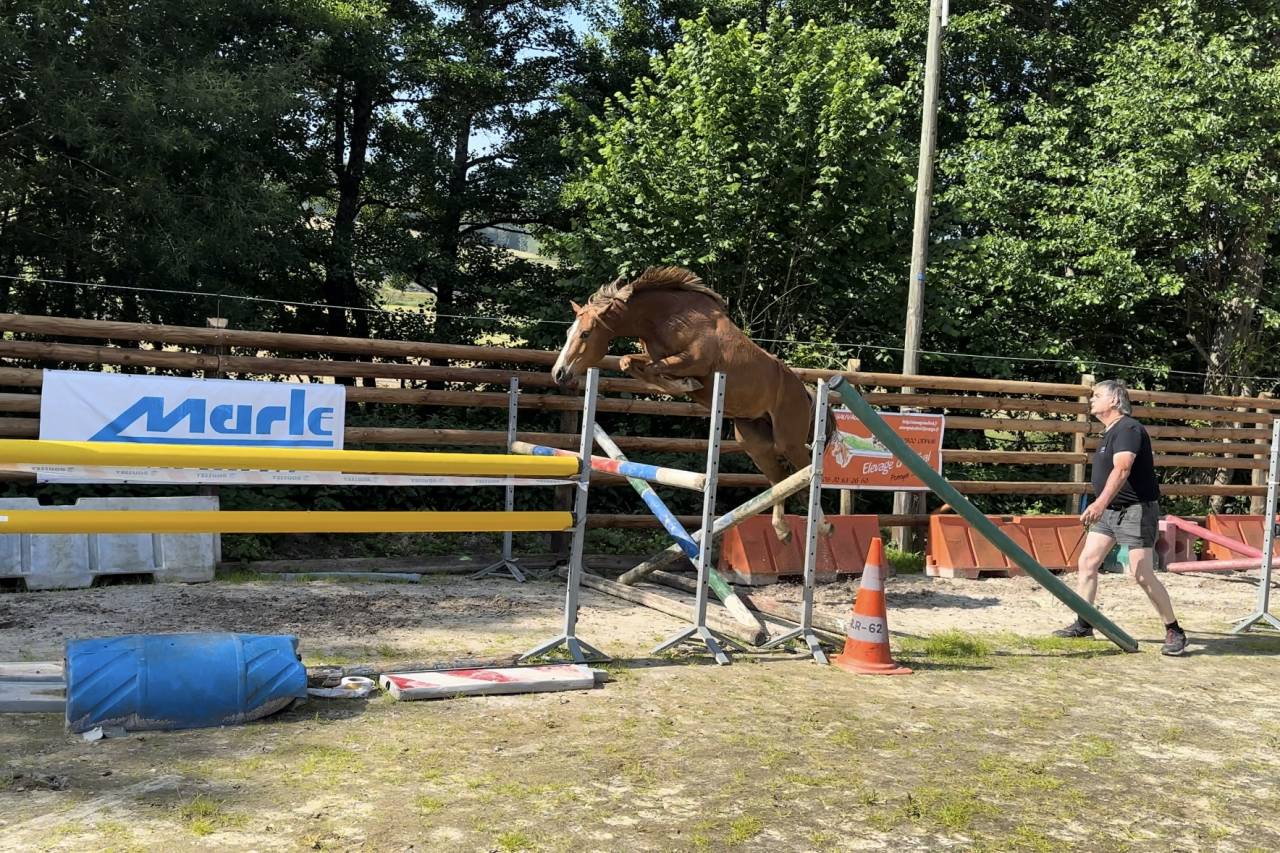 PFS 4 ans 156 cm