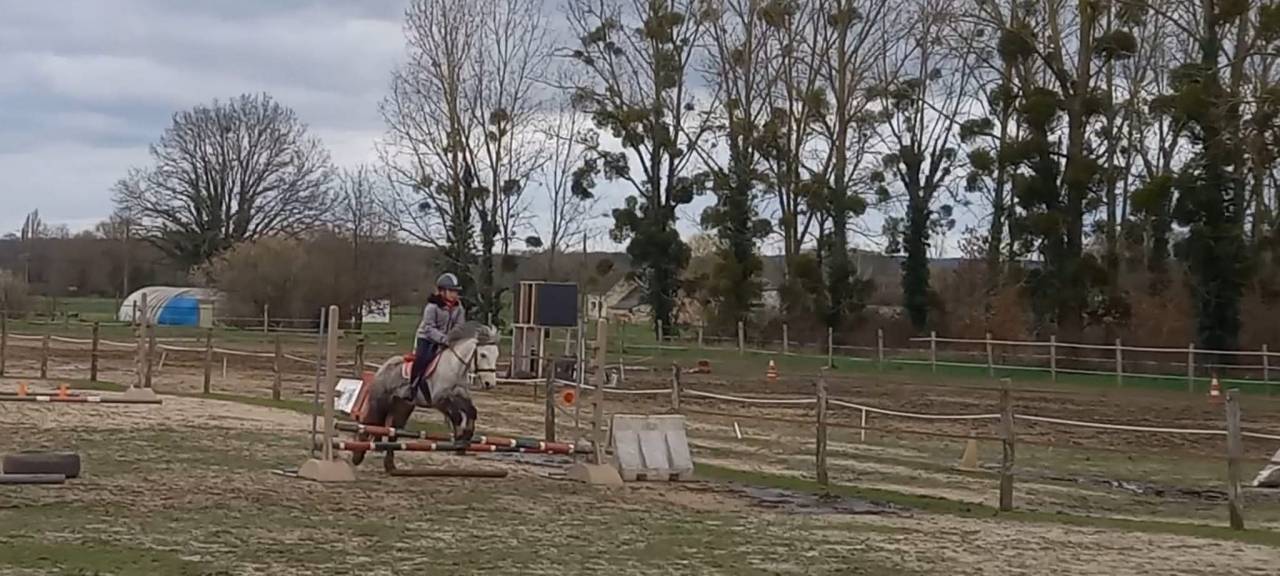 Ponette ONC irlandaise 