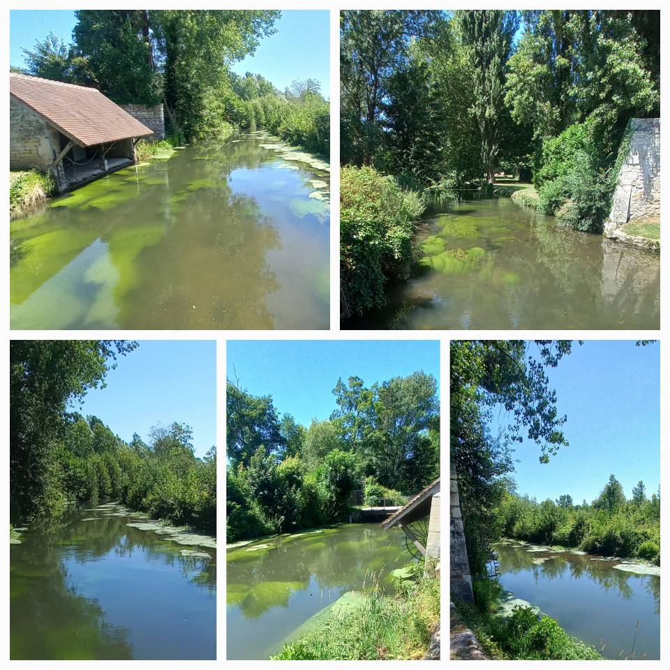 A cheval en for&ecirc;t de Chantilly-Ermenonville