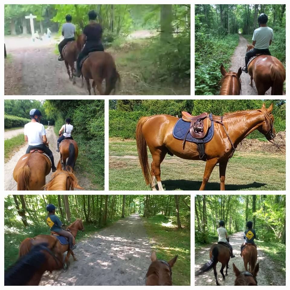 A cheval en for&ecirc;t de Chantilly-Ermenonville