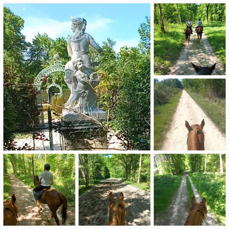 A cheval en for&ecirc;t de Chantilly-Ermenonville