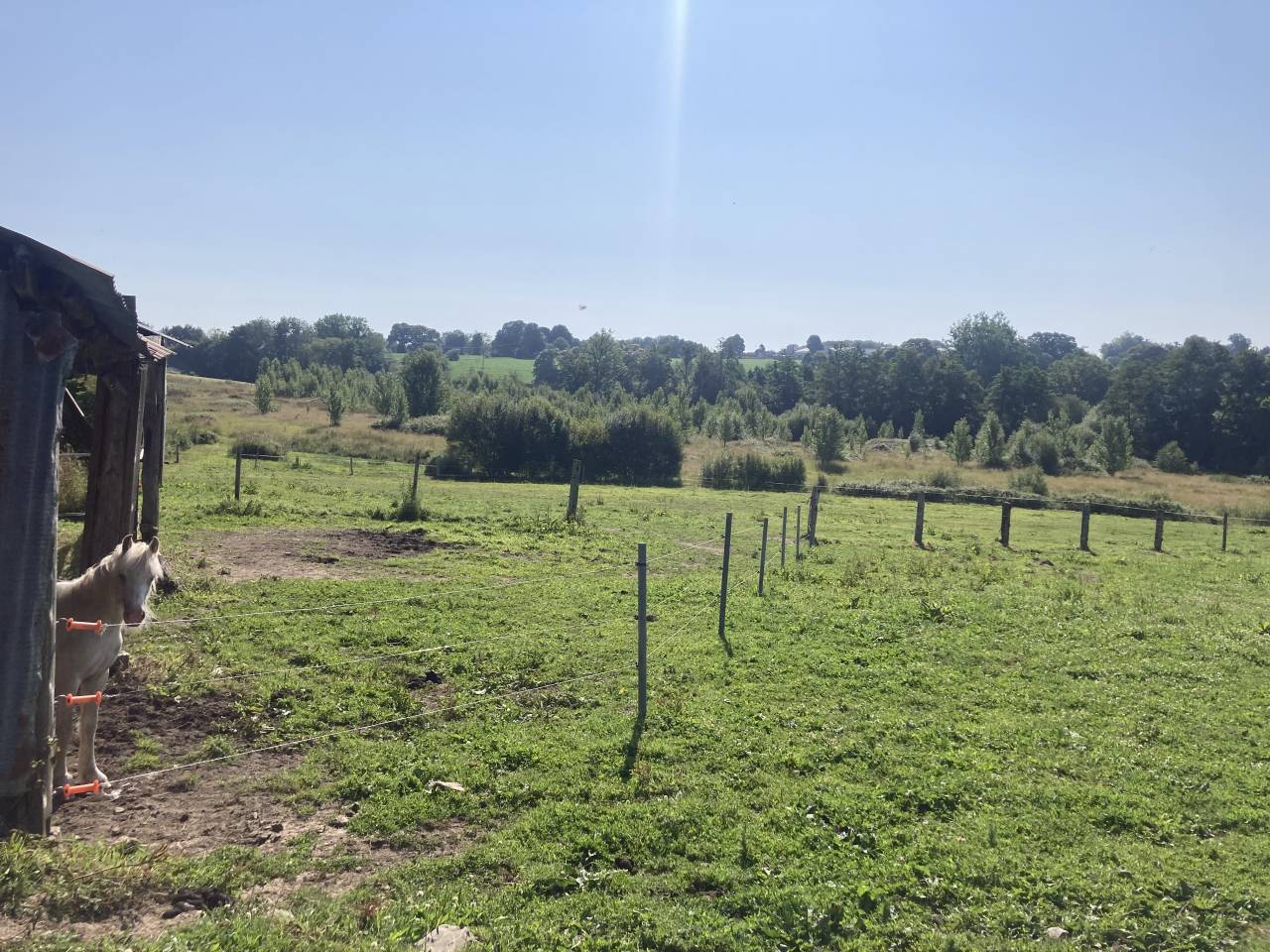 Pensions retraite ou repos 