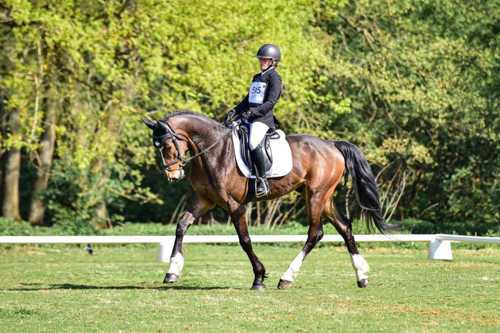 Pension chevaux bien &ecirc;tre  / enseignement 