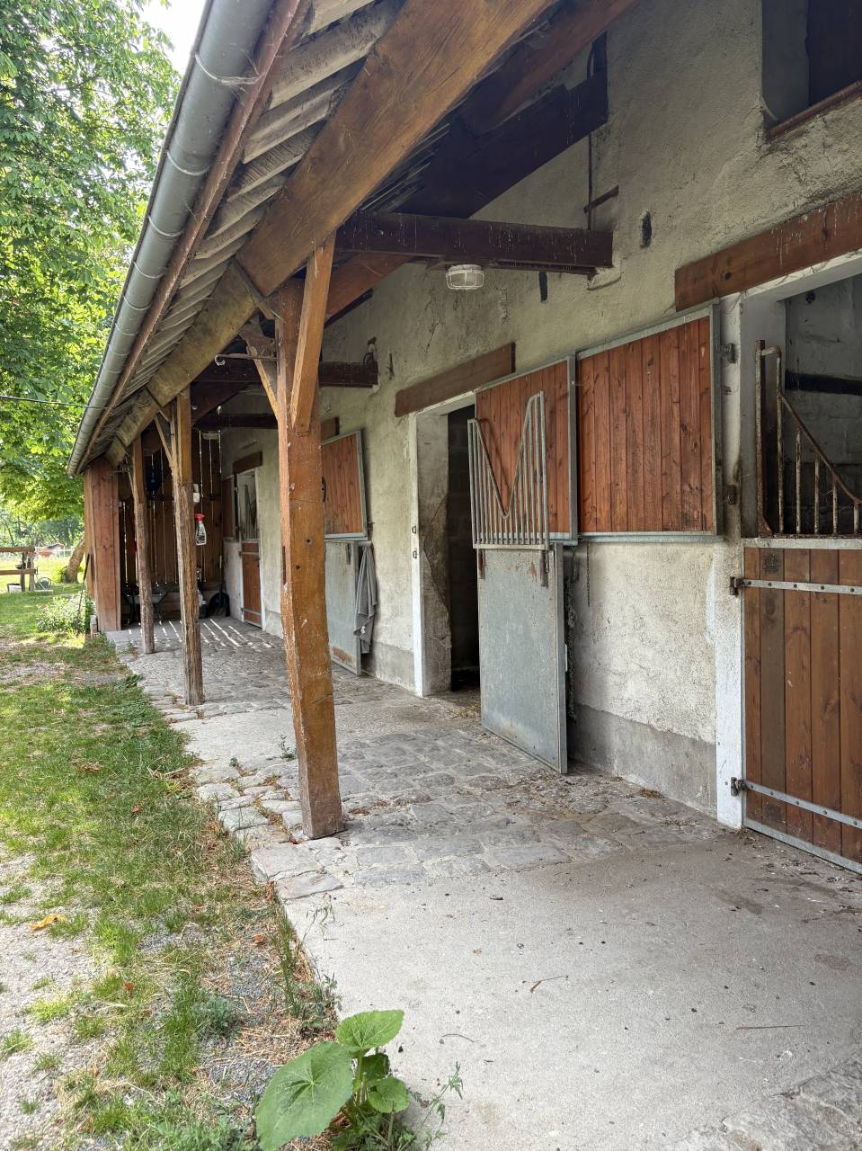 Pension chevaux bien &ecirc;tre  / enseignement 