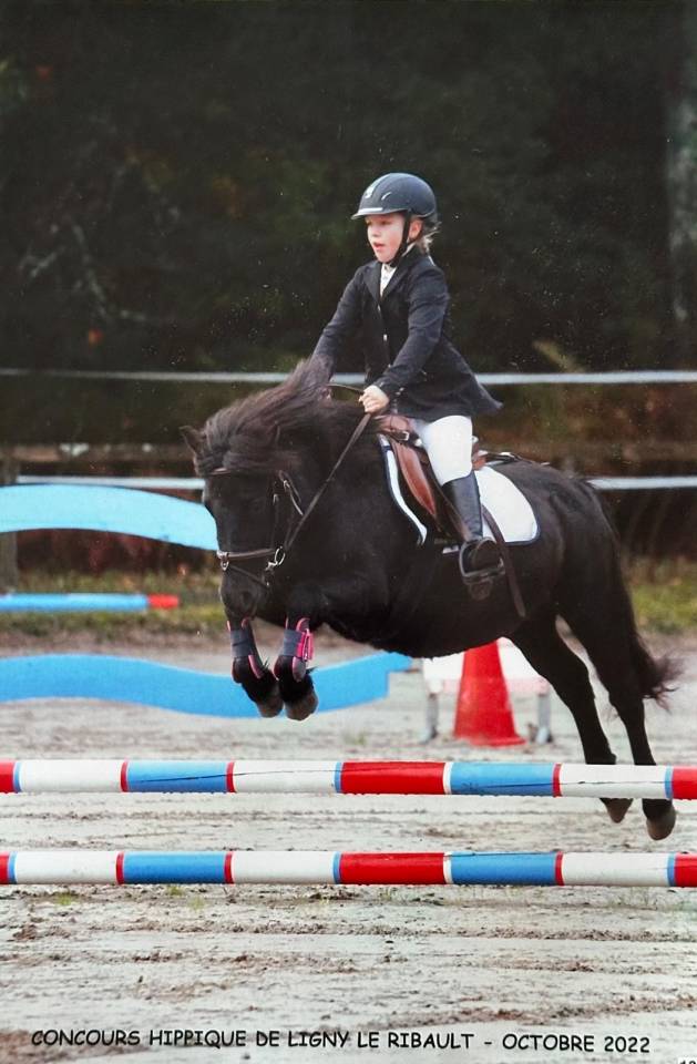 Vends jolie Shetland 7 ans polyvalente