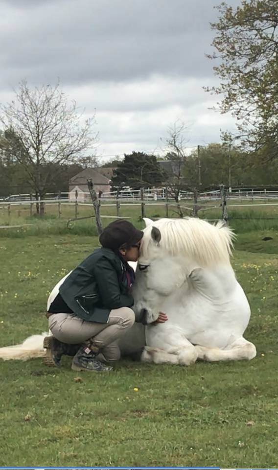 Cheval pour Demi pension Loiret 