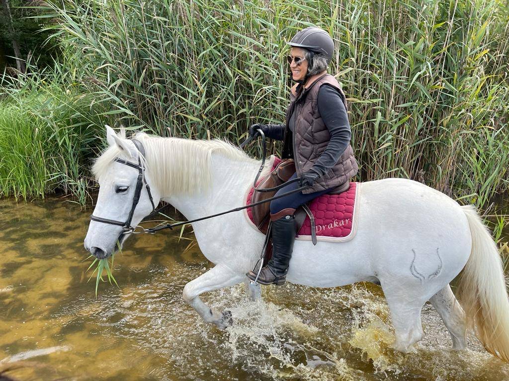 Cheval pour Demi pension Loiret 