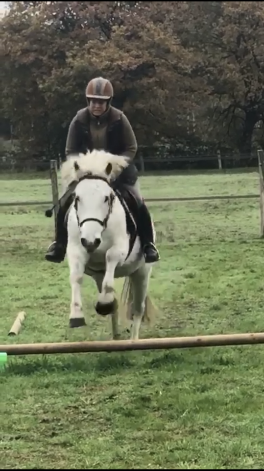 Cheval pour Demi pension Loiret 