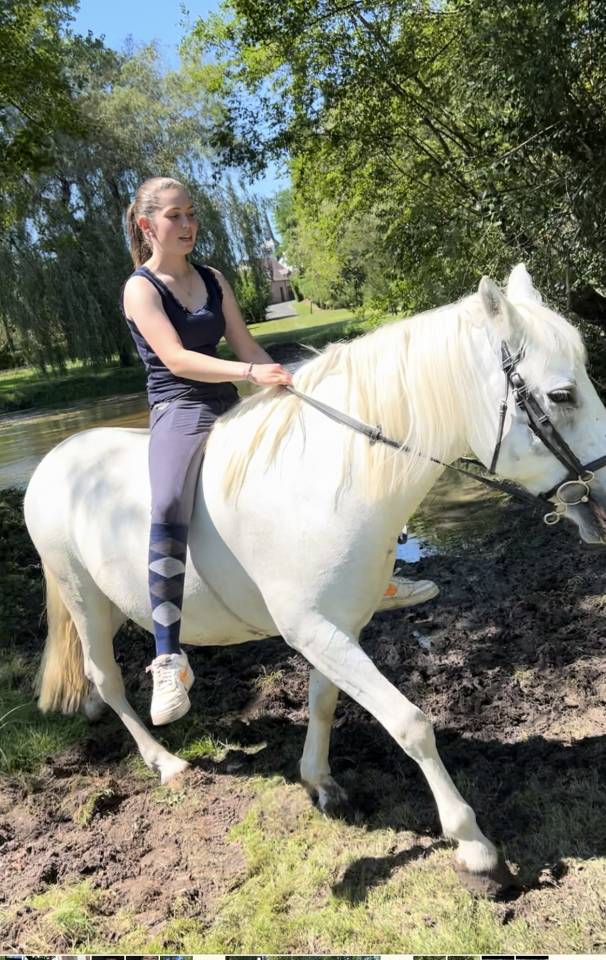 Cheval pour Demi pension Loiret 