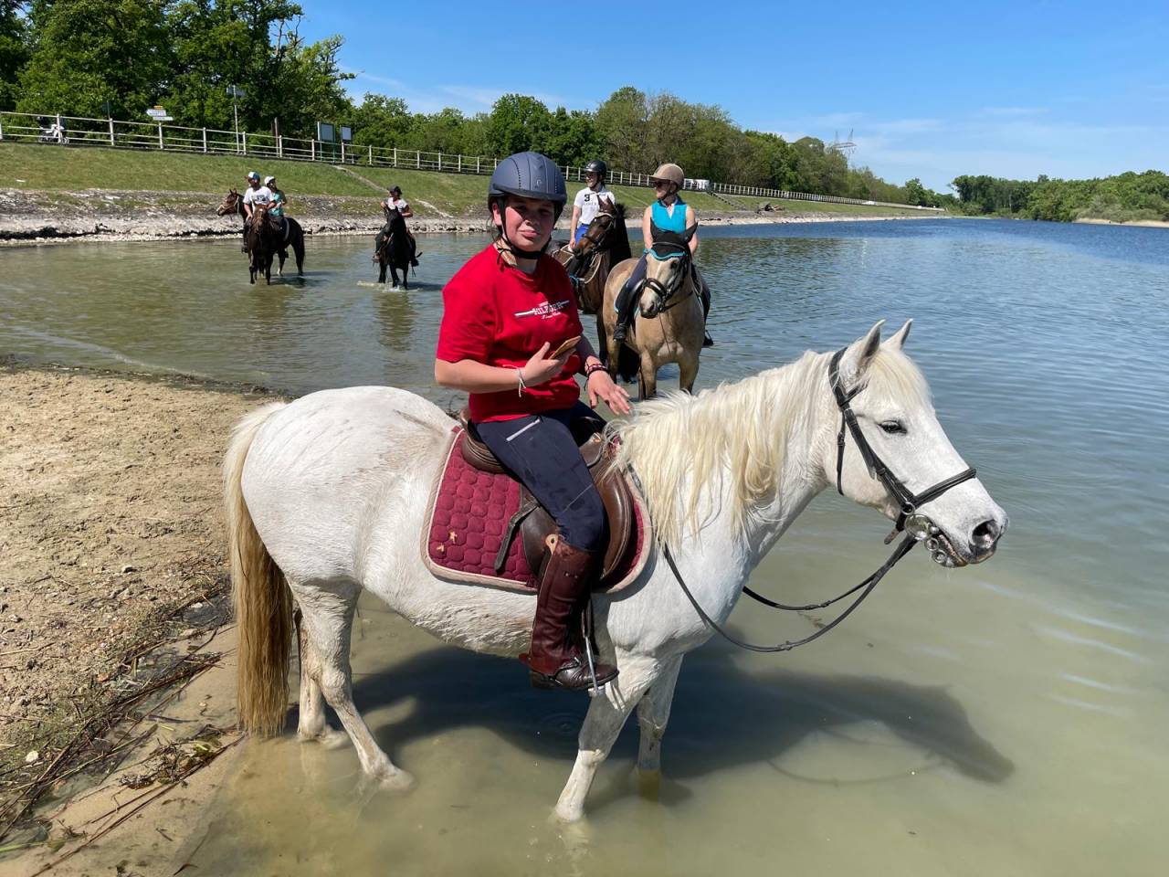 Cheval pour Demi pension Loiret 