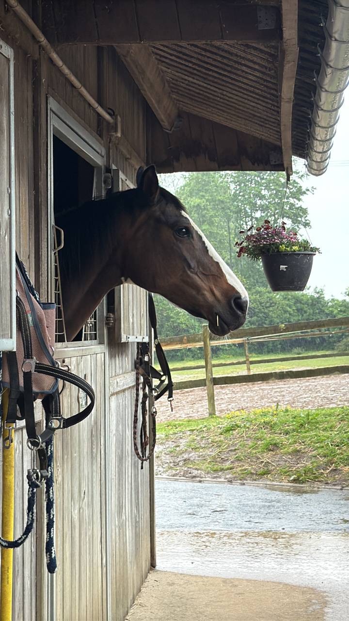 &Eacute;curie De Bruneval 