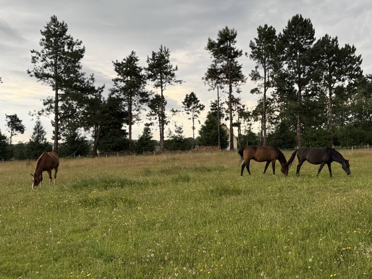 &Eacute;curie De Bruneval 