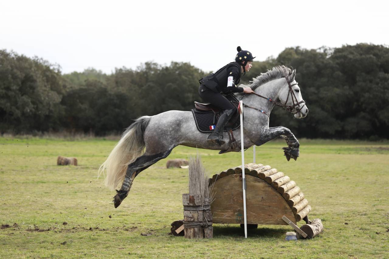 À VENDRE – PONEY DE CCE AS PONEY ÉLITE GRAND PRIX