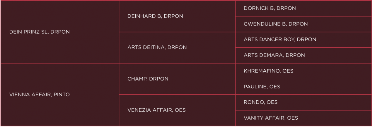 Superbe hongre de 1 An. Plein de Potentiel