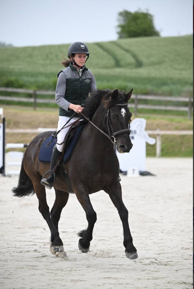 Poney Connemara PP 11 ans VENDRE/LOUER