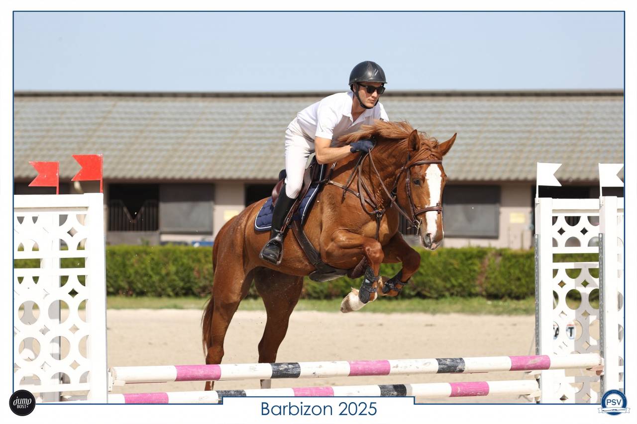 Jument CSO adorable SF 165cm