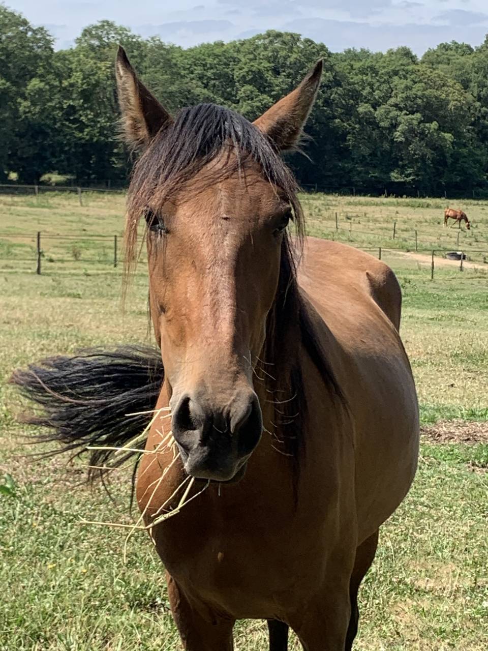 Adorable Espagnol 2 ans