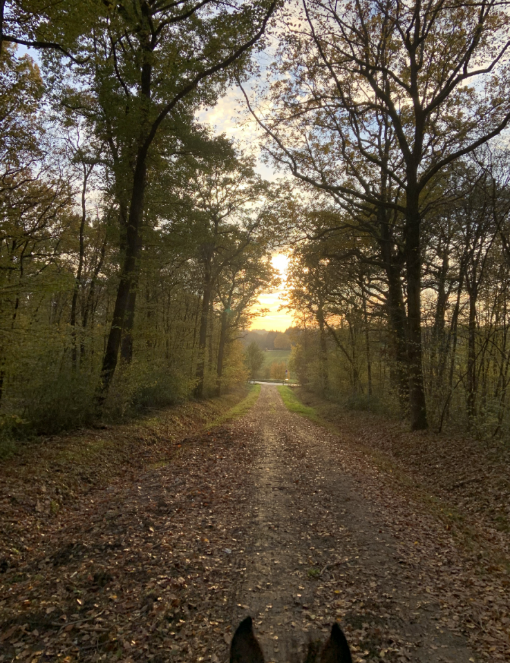 Pension entre Paris et Fontainebleau