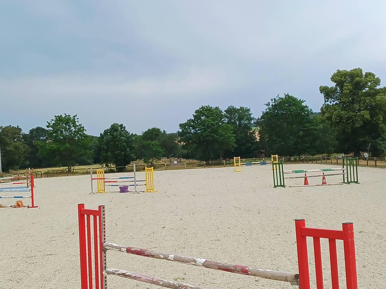 Pension travail cheval cavalier CSO + sorties concours