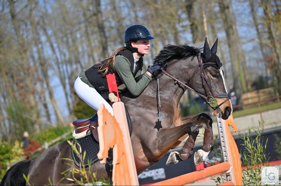 Poney d’As à vendre 