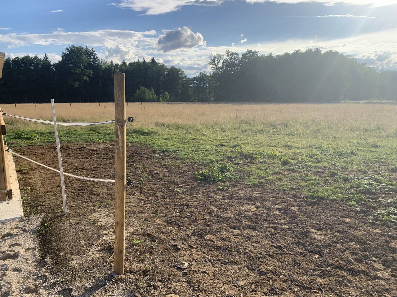 Écurie ouverte pour deux chevaux - 70200 Franchevelle