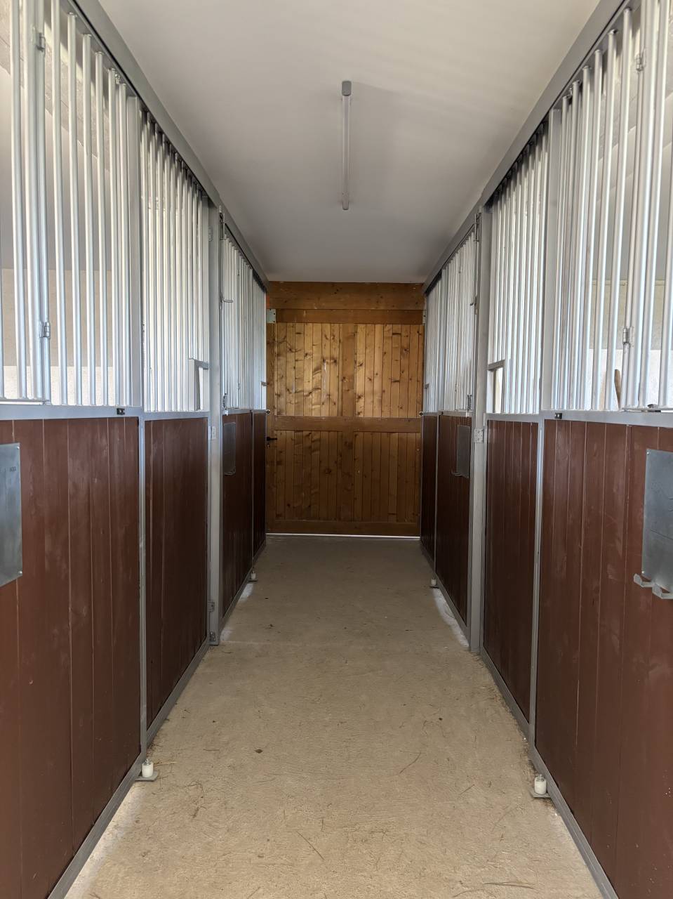 Pension 5⭐️ boxe/ paddock et pr&eacute; - 42110 Poncins