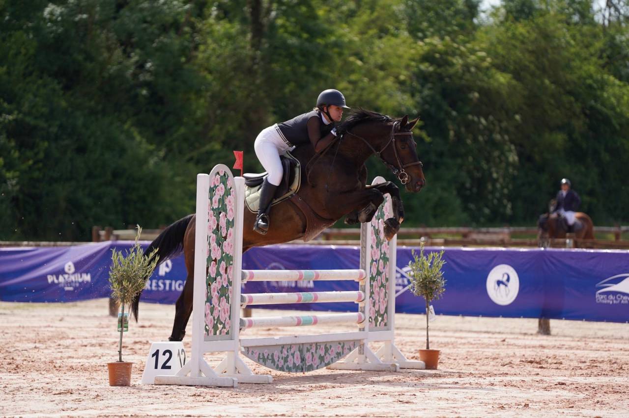 Jument 6 ans SF CSO CCE 