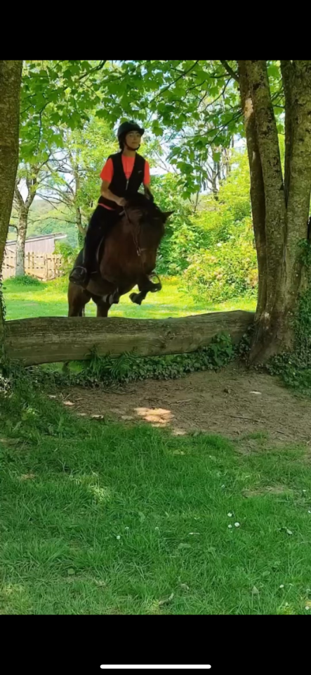 Ponette C origine constatée CSO 