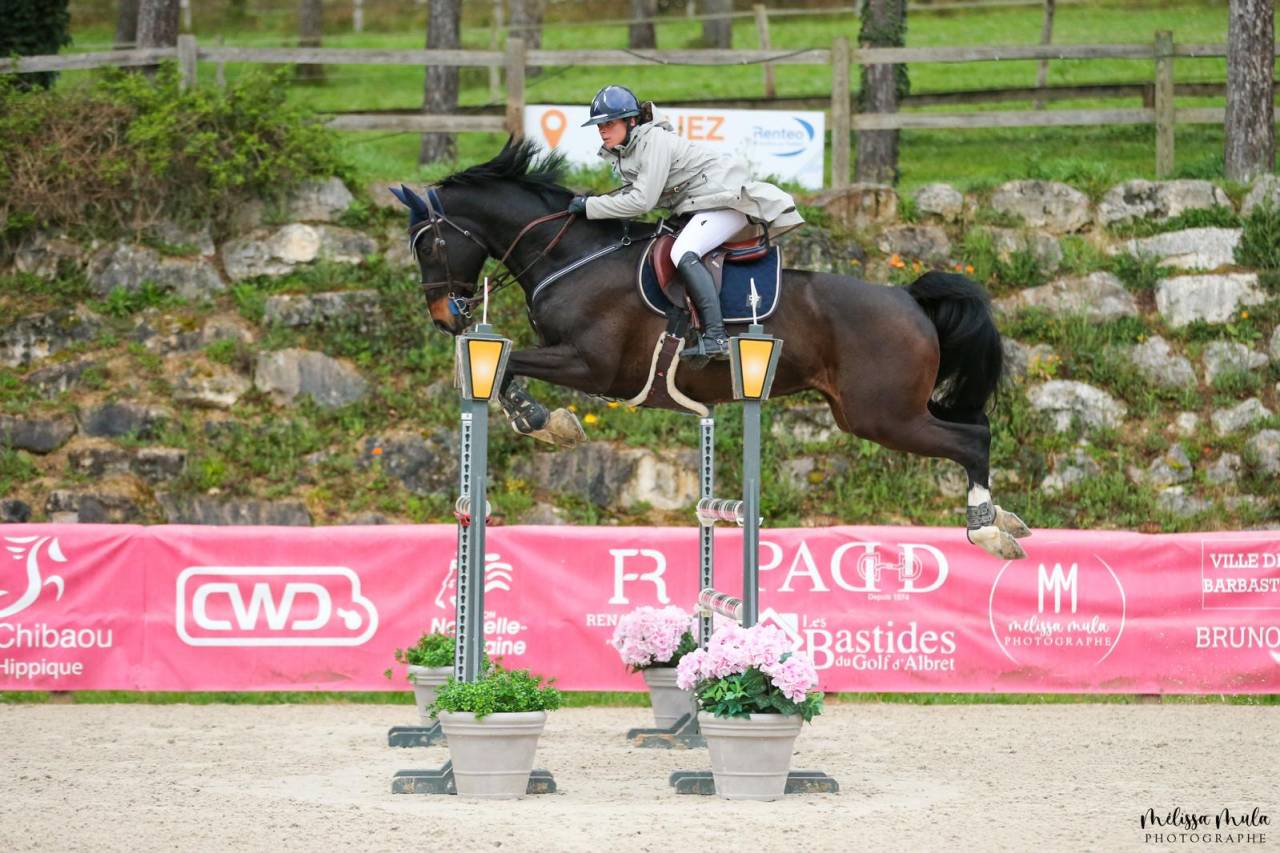 Vente Cheval CSOI 12 ans 1.40/1.50 Prix 150.000 Euros