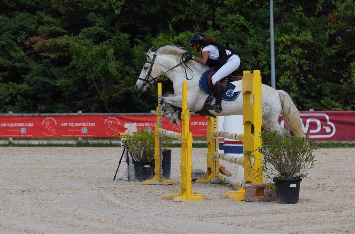 Poney D 