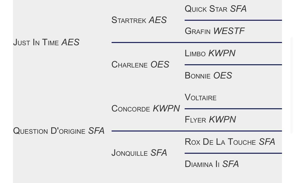 Joli cœur Z - Étalon Léopard de sport 
