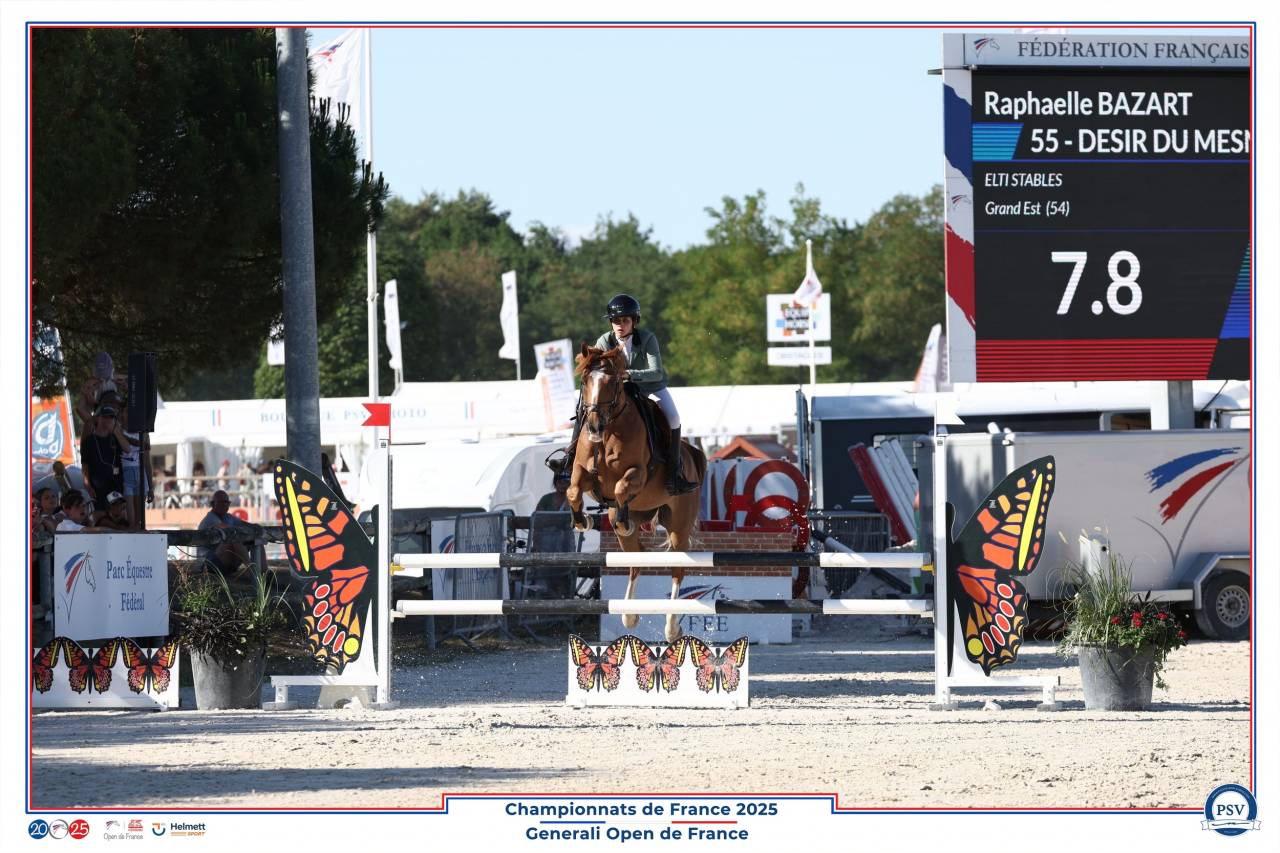 A vendre poney D CSO P Elite 12 ans 