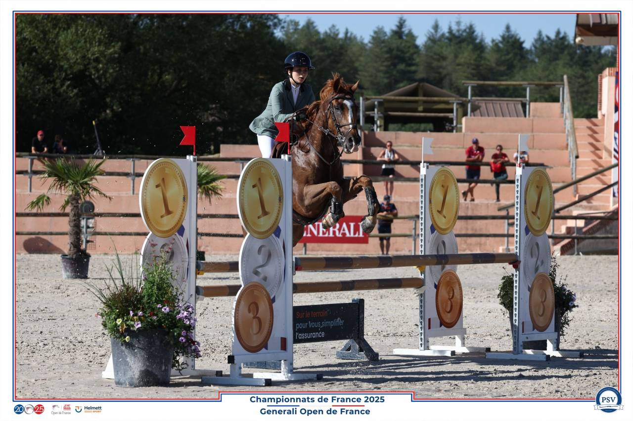 A vendre poney D CSO P Elite 12 ans 