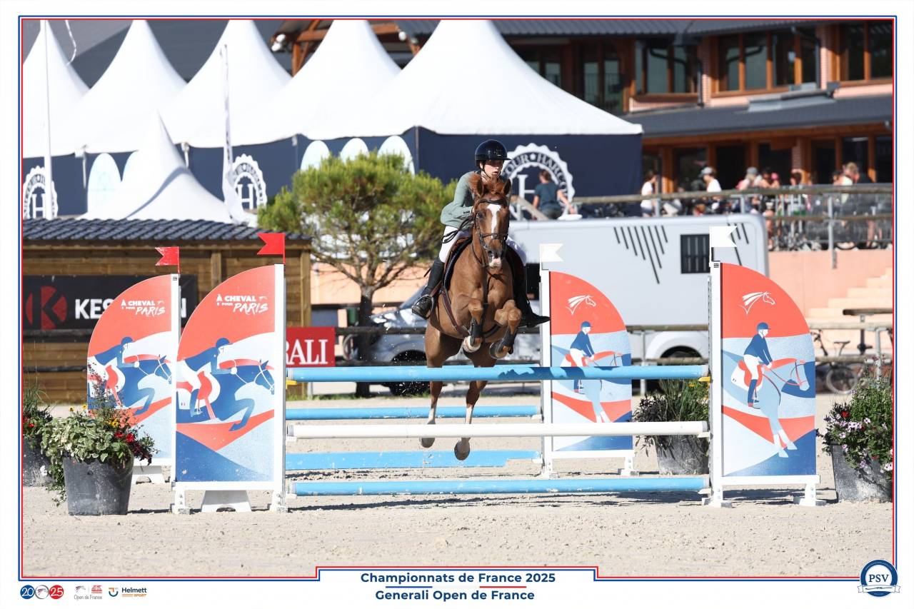 A vendre poney D CSO P Elite 12 ans 