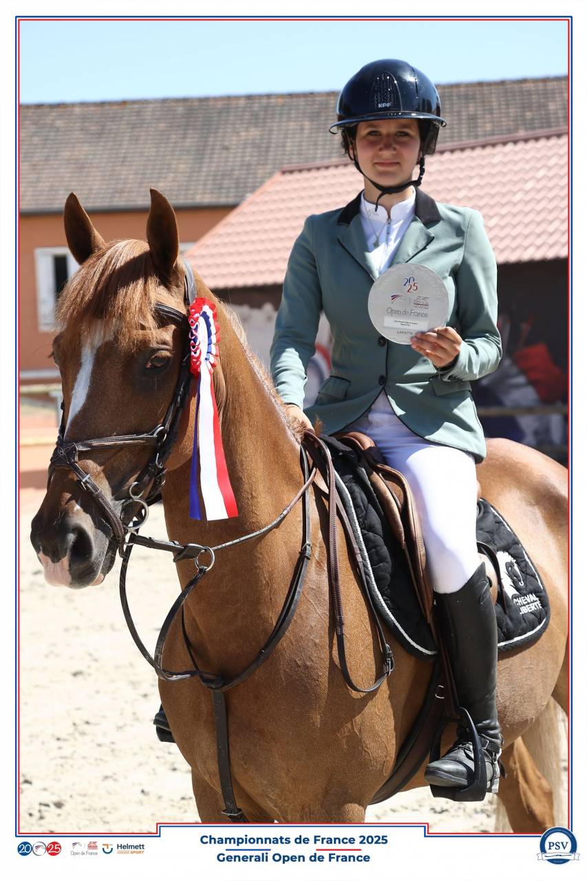 A vendre poney D CSO P Elite 12 ans 